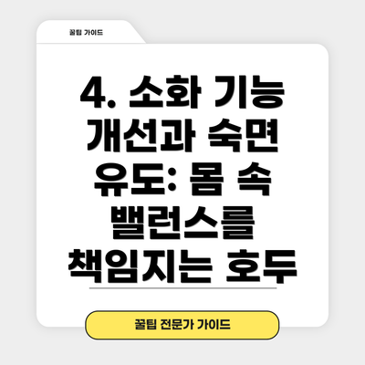 4. 소화 기능 개선과 숙면 유도: 몸 속 밸런스를 책임지는 호두