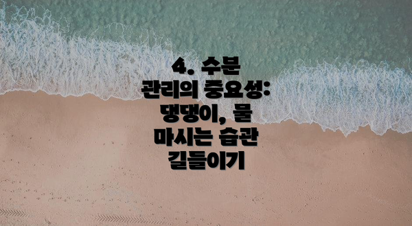 4. 수분 관리의 중요성: 댕댕이, 물 마시는 습관 길들이기