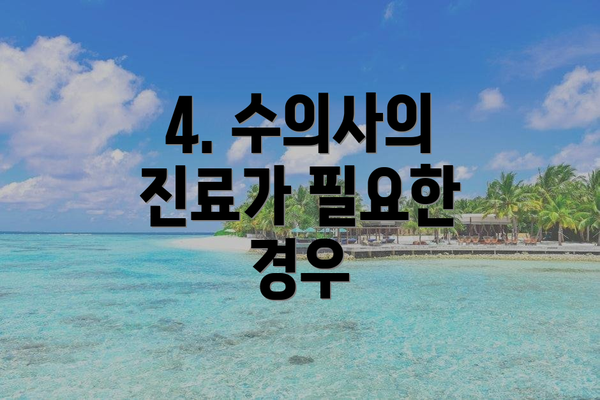4. 수의사의 진료가 필요한 경우