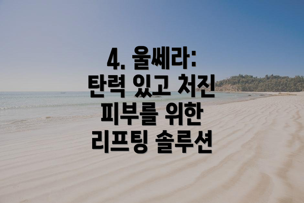 4. 울쎄라: 탄력 있고 처진 피부를 위한 리프팅 솔루션