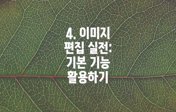 4. 이미지 편집 실전: 기본 기능 활용하기