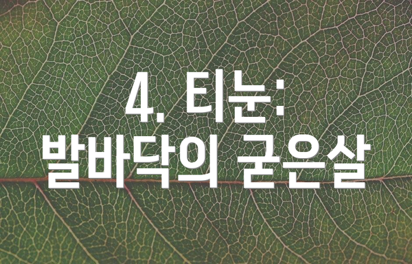 4. 티눈: 발바닥의 굳은살