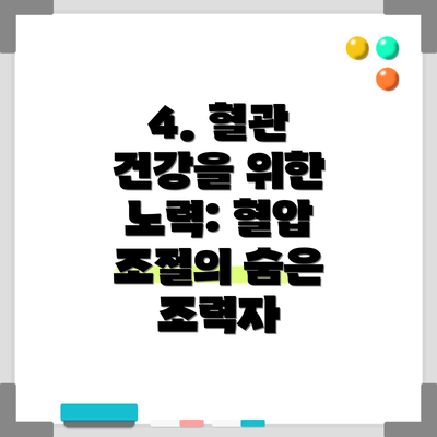 4. 혈관 건강을 위한 노력: 혈압 조절의 숨은 조력자