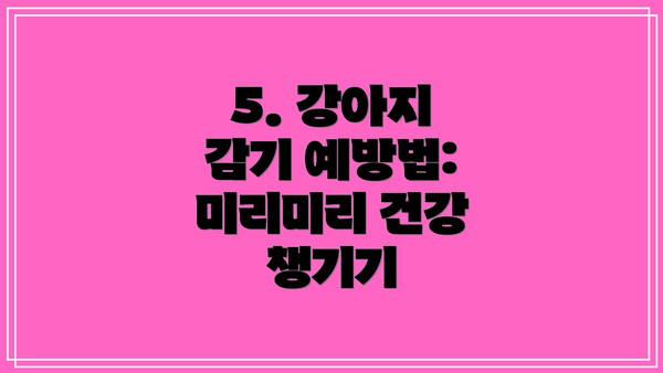 5. 강아지 감기 예방법: 미리미리 건강 챙기기