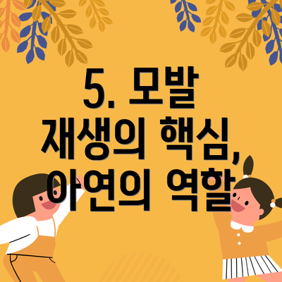5. 모발 재생의 핵심, 아연의 역할