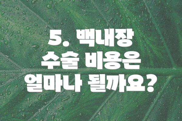 5. 백내장 수술 비용은 얼마나 될까요?
