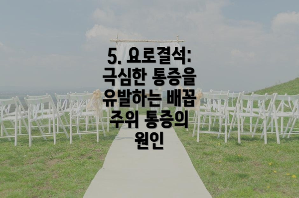 5. 요로결석: 극심한 통증을 유발하는 배꼽 주위 통증의 원인