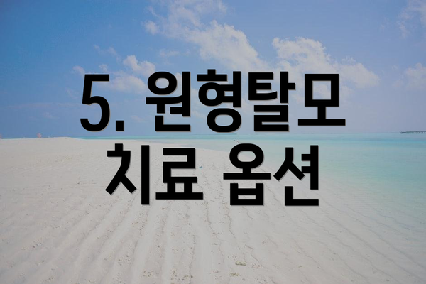 5. 원형탈모 치료 옵션