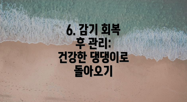 6. 감기 회복 후 관리: 건강한 댕댕이로 돌아오기