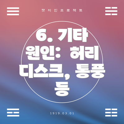 6. 기타 원인: 허리 디스크, 통풍 등