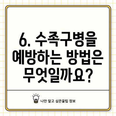 6. 수족구병을 예방하는 방법은 무엇일까요?