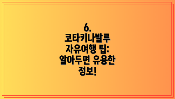 6. 코타키나발루 자유여행 팁: 알아두면 유용한 정보!