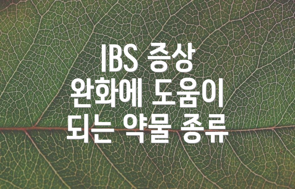 IBS 증상 완화에 도움이 되는 약물 종류
