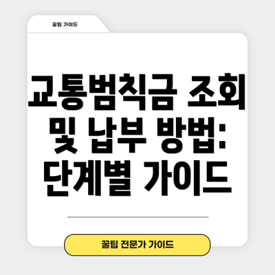 교통범칙금 조회 및 납부 방법:  단계별 가이드