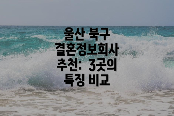 울산 북구 결혼정보회사 추천: 3곳의 특징 비교