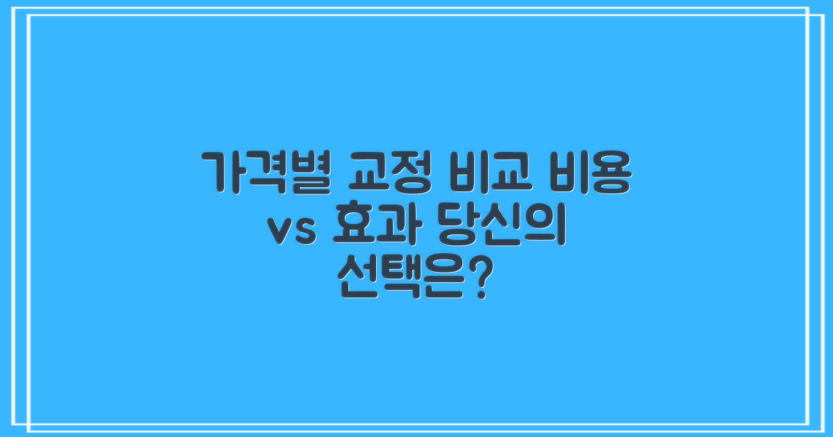 가격대별 교정 방법 비교
