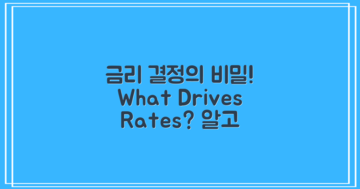 금리는 어떻게 결정될까?