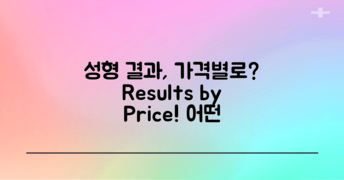 가격대별 성형 결과는?